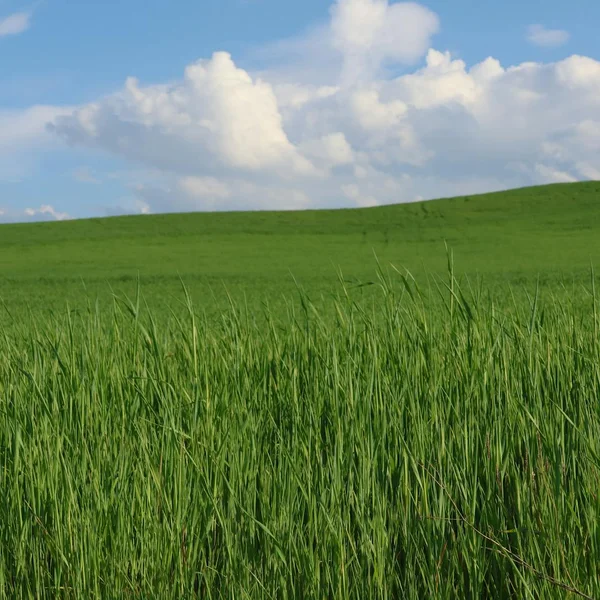 网赌平台街机游戏